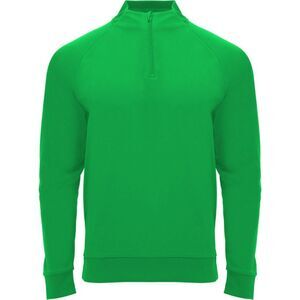 Roly Unisex Adult Epiro Quarter Zip Long-Sleeved Sweatshirt / Fern Green